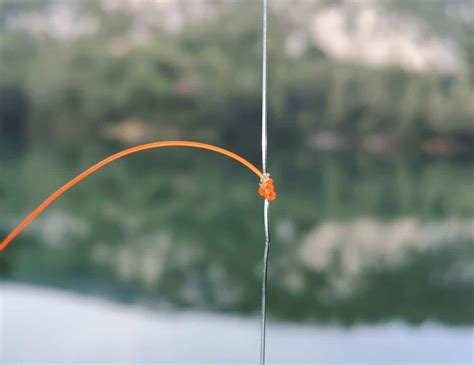 Noeud de potence SG Knot dropshot teaser et pêche en mer