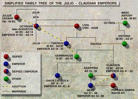 julius caesar family tree | Family tree, Julius caesar, Caesar