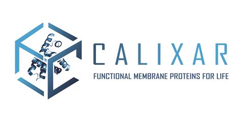 CALIXAR V2 0 Enhancing Our Agility By Integrating Digital Technologies