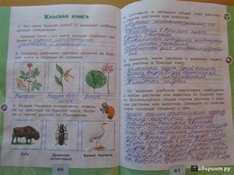 Как сделать Красную Книгу по окружающему миру во 2 классе?