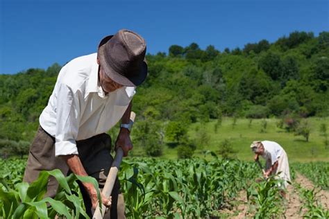 Quem Nunca Contribuiu Pode Se Aposentar Por Idade Rural Jornal A Ponte