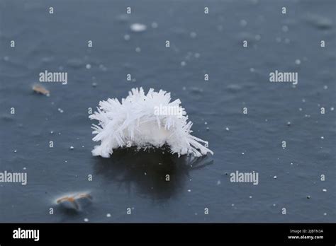 Formation of ice crystals on ice sheet Stock Photo - Alamy