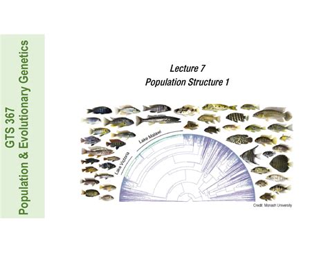 Class Population Structure Gts Population Evolutionary