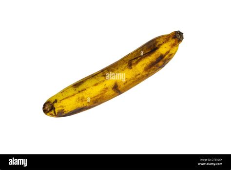 Rotten Banana Isolated On White Background Clipping Path Stock Photo