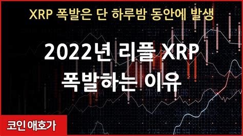 리플 Xrp 비트코인 이더리움 에이다 2022년 리플 Xrp 폭발하는 이유 Youtube