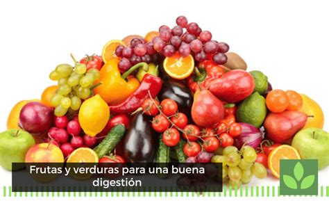 Frutas y verduras para una buena digestión BLOG Moisaner Gourmet