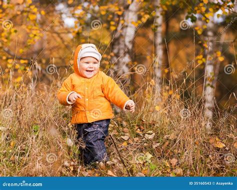 Little Boy Smiling with Leaves Stock Image - Image of fall, lifestyle ...