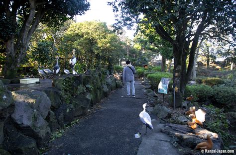 Izu Shaboten Zoo The Cacti And Animal Park