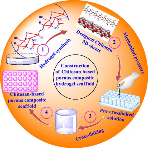 Schematic Illustration For The Preparation Of Chitosan Based Porous