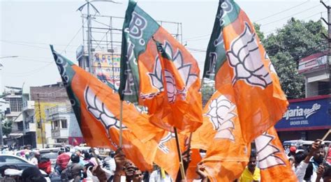 Bjp To Strengthen Organisation Seek Allies In Poll Bound States