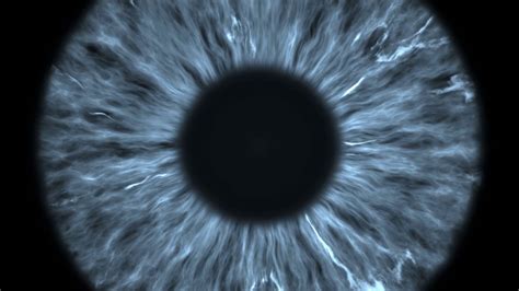 The Gray Eye Is Extreme Close Up Of Iris Stock Footage Sbv 332135312