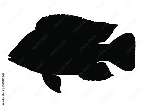 Tilapia Fish Silhouette Vector Illustration Stock Vector Adobe Stock