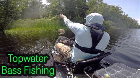 Kayak Bass Fishing The Poconos Of Pa Bradys Lake Youtube