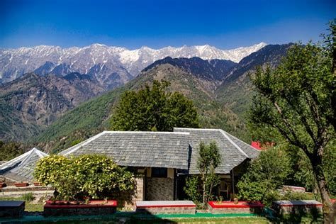 UDECHEE HUTS McLeod Ganj India Himachal Pradesh Hotel Reviews