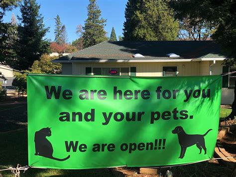 ridge road animal hospital 10