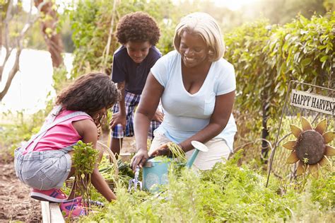 Teaching Environmentally Friendly Financial Decisions Eyethu News