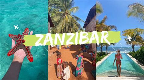 Vlog Zanzibar Welcome To Paradise 🌴 Youtube