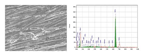 Sem Edx Spectra Of The Mild Steel Surface In M Hcl A Aa B