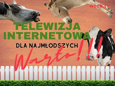 Telewizja Online Dla Najm Odszych Warto Weeb Tv Blog