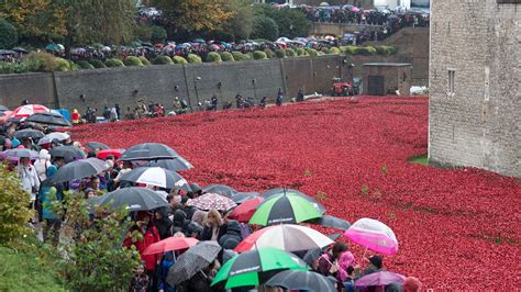 Stunning red poppy art display honors fallen World War I soldiers ...