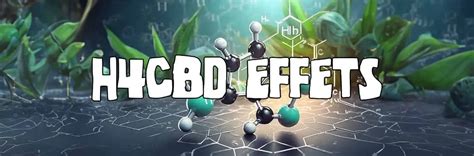 H Cbd Effets Diff Rence Avec Cbd Et Bienfaits De Cette Mol Cule Le