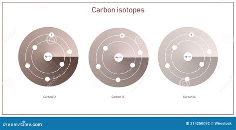 Isotopi Di Carbonio Struttura Atomica Particelle Elementari Teoria