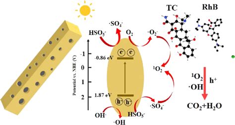 The proposed mechanism by photocatalysis/PMS activation and electron... | Download Scientific ...