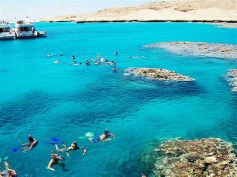 Mahmya Insel Ausflug Hurghada Schnorcheln Luxor Tours