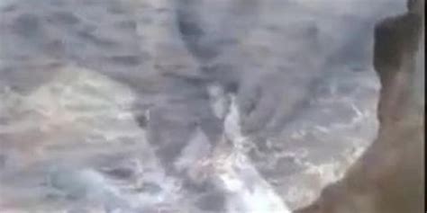 Lesbian Sex Tera Patrick Tnaflix