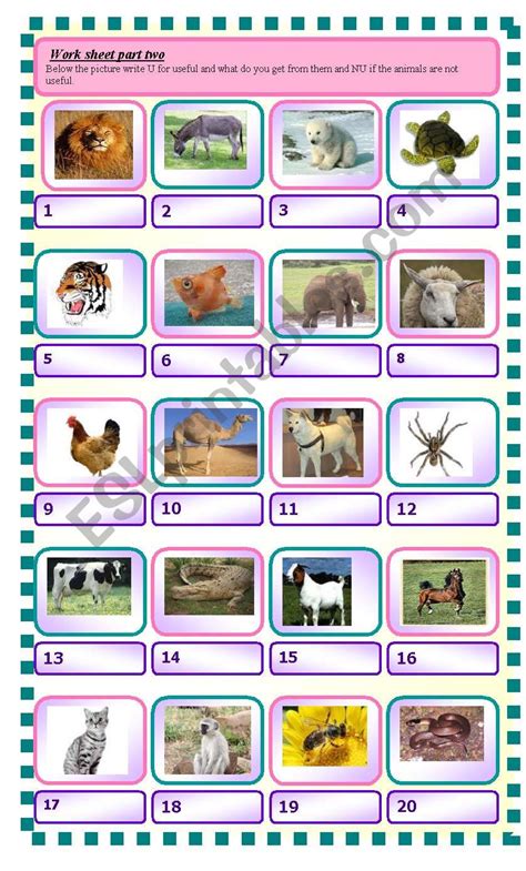 how are animals useful to us - ESL worksheet by Abizer