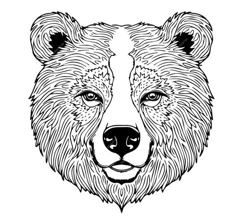 Premium Vector Bear Head Sketch Hand Drawn Cartoon Style Illustration