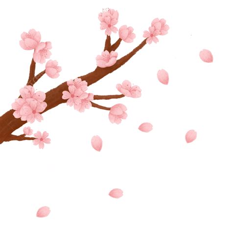 Flor De Sakura O Flor De Cerezo Png Png Dibujos Sakurapng Flor De