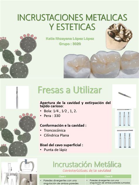 Incrustaciones Metalicas Y Esteticas Pdf Esmalte De Dientes Ramas