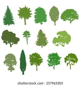 Thirty Different Tree Sorts Names Illustrated Stock Vector Royalty