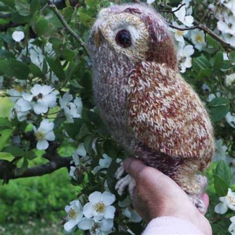 Tawny Owl Free Knitting Pattern From Britain With Love