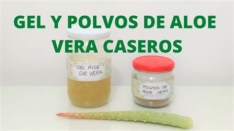 Cómo hacer GEL y POLVO de ALOE VERA puro CASERO y cómo CONSERVARLO