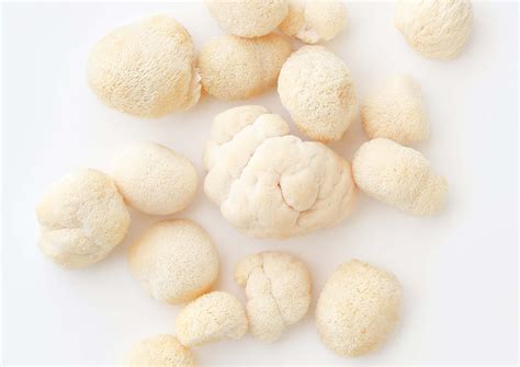 Journal | The Benefits of Lion's Mane Mushroom | OtherNature™