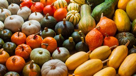 Types Of Squash That Are Easy To Grow