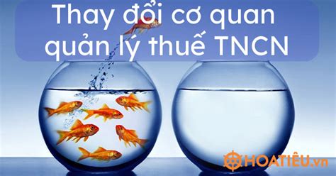 Thay đổi cơ quan quản lý thuế TNCN Thủ tục thay đổi cơ quan quản lý