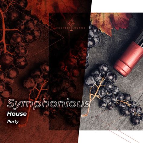 Zzz Symphonious House Party Zzz Album By Chill Out Beach Party Ibiza