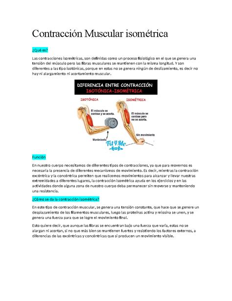 Contracci N Muscular Isom Trica Contracci N Muscular Isom Trica Qu