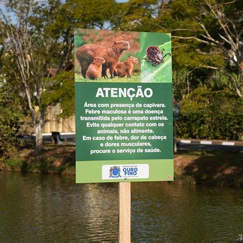 Prefeitura De Ouro Fino Instala Placas De Aten O No Lago Dos Palomos