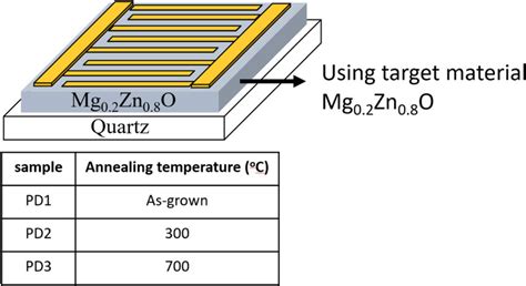 The Schematic Structure Of Mgzno Msm Photodetector With Different