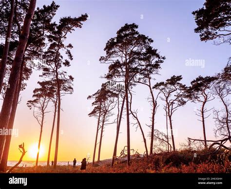 Beachgoers Watch The Sunset On Dar S West Beach Stock Photo Alamy