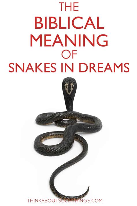 Navigating The Spiritual Realm Unveiling The Biblical Meaning Of Snake