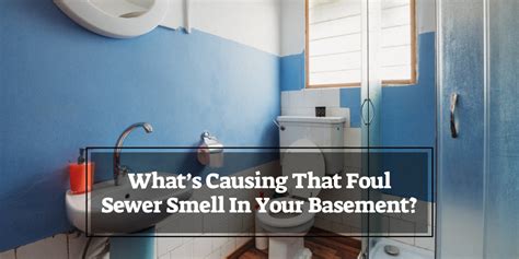 What’s Causing That Foul Sewer Smell In Your Basement? - Sewer Pros