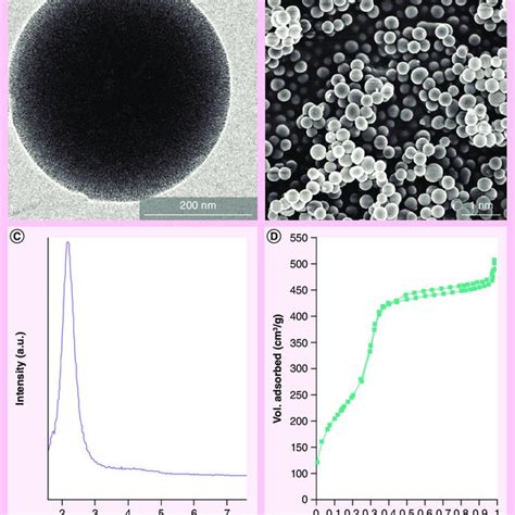 Nanoparticle characterization. (A) Structural characterization by... | Download Scientific Diagram