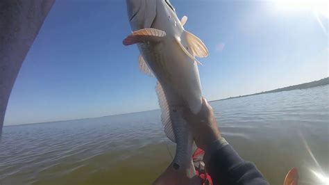 Sight Casting To Redfish Youtube