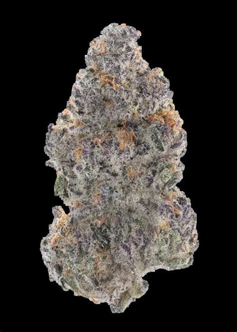 banana purple punch auto rf fast buds  thc