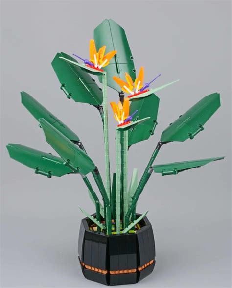 Lego 10289 Bird Of Paradise Botanical Collection Kaufen Auf Ricardo